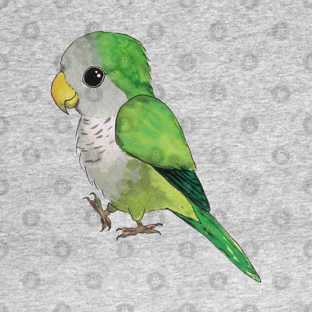 Very cute green parrot by Bwiselizzy